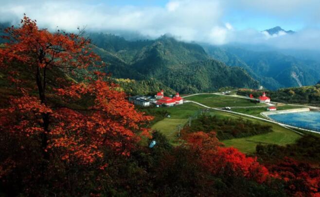 大邑霧山｜秋色與山為家 紅葉與霧為衣！